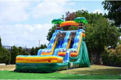 Cali Palms Water Slide